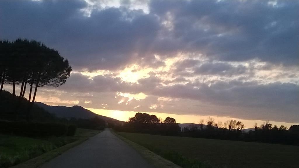 Agriturismo Podere Mulinaccio Ribolla ภายนอก รูปภาพ